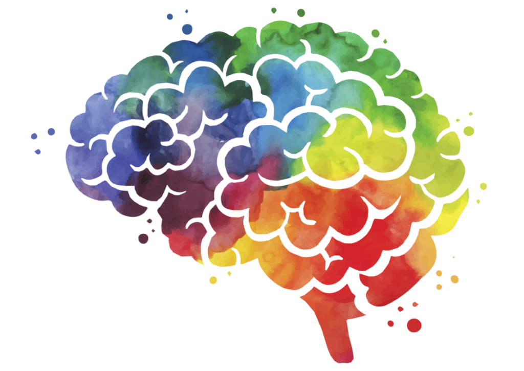 Cerveau multicolore